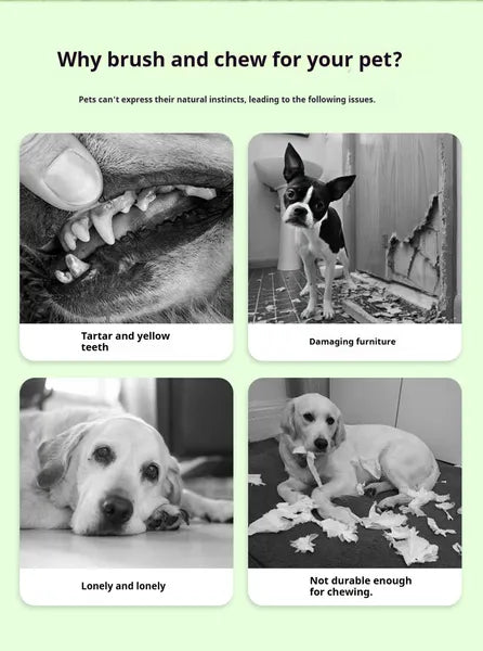 Dog Teeth Cleaning Chew Toy – Fresh Breath & Healthy Teeth for Your Pet