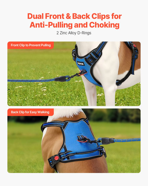 No-Pull Dog Harness with Leash – Adjustable & Secure