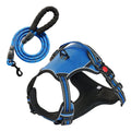 No-Pull Dog Harness with Leash – Adjustable & Secure