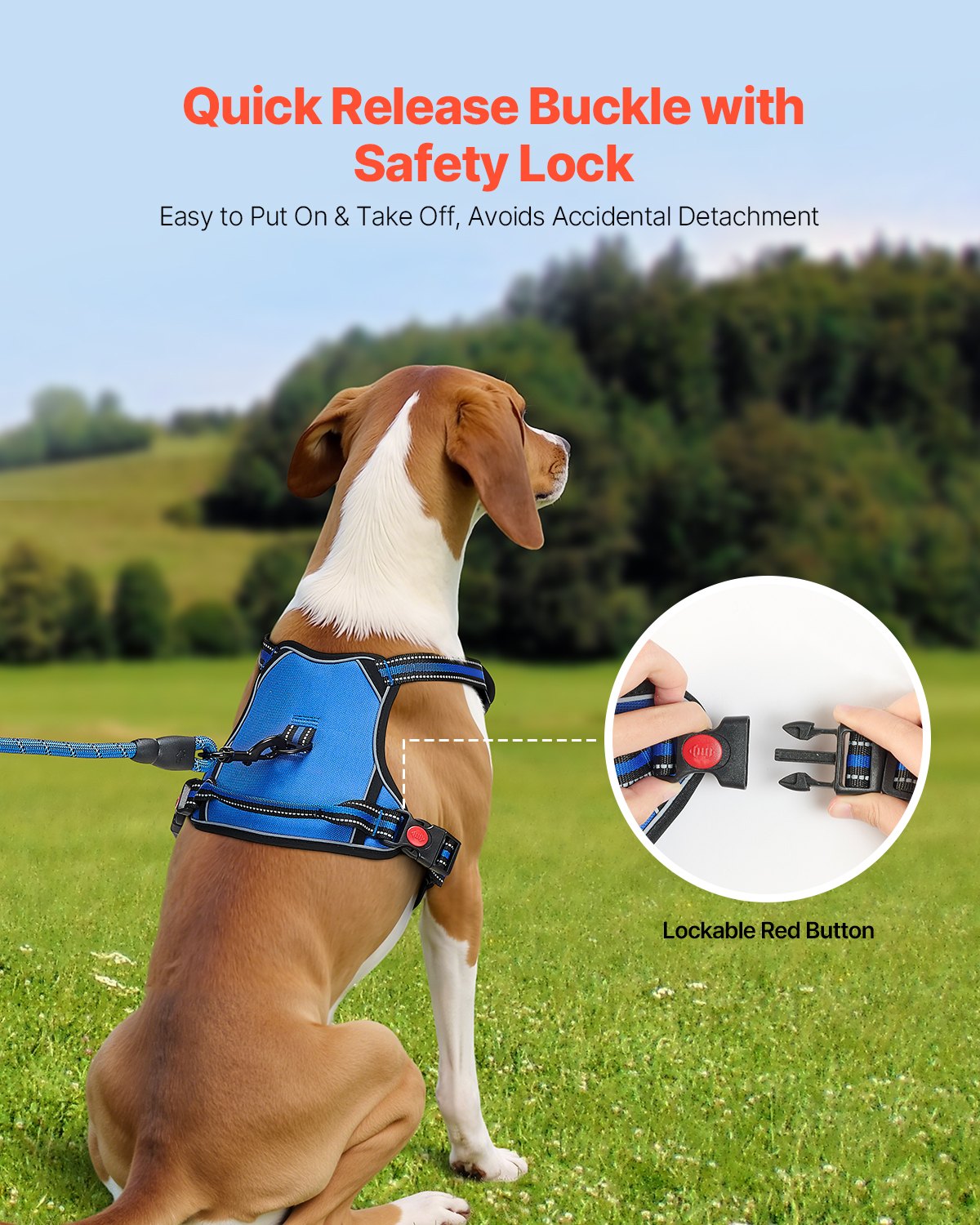 No-Pull Dog Harness with Leash – Adjustable & Secure