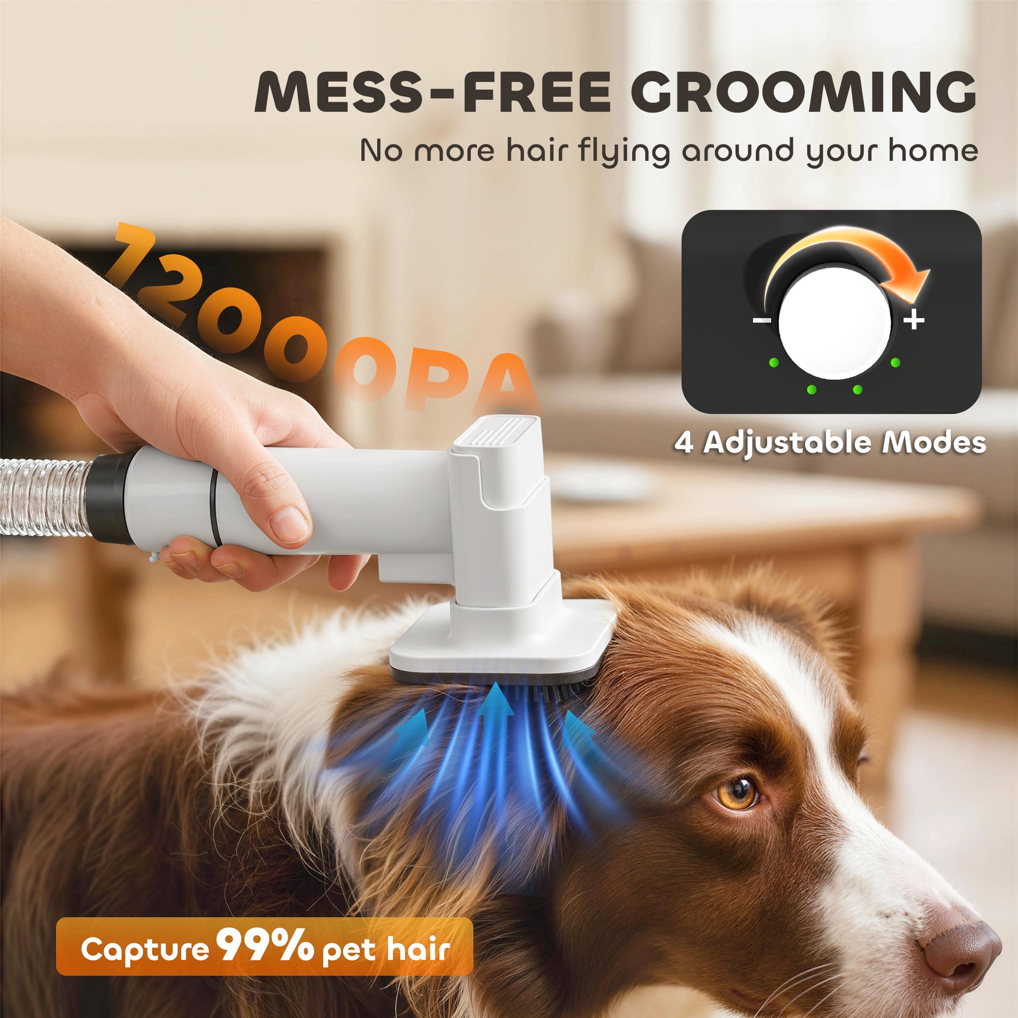 Dog Grooming Vacuum – Remove Pet Hair Instantly