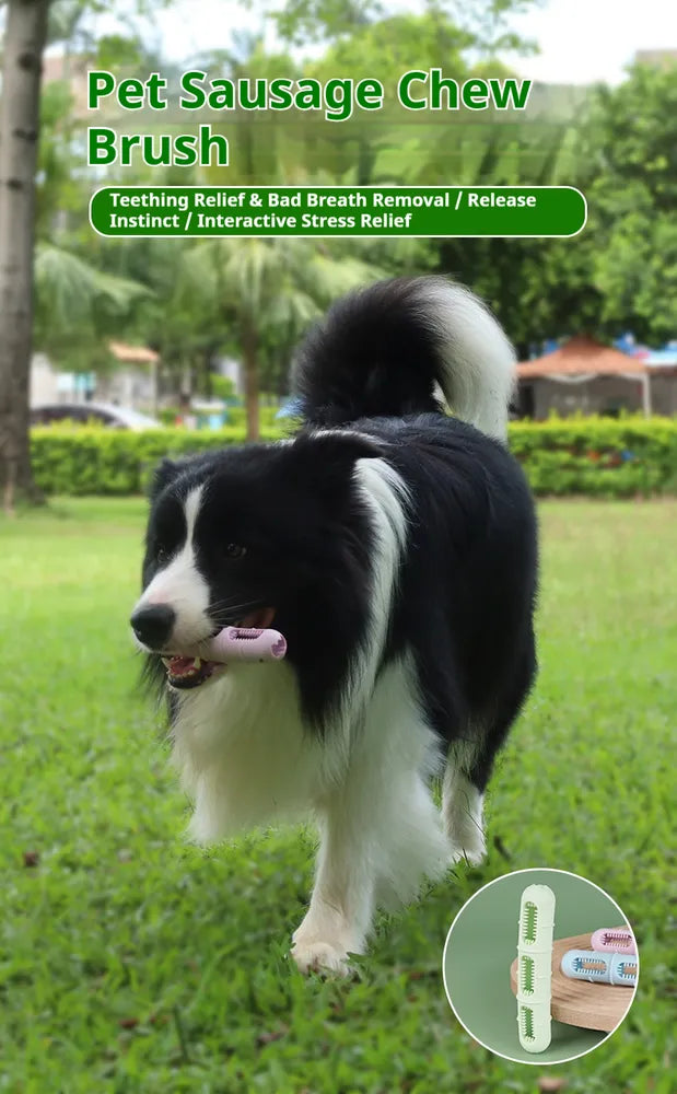 Dog Teeth Cleaning Chew Toy – Fresh Breath & Healthy Teeth for Your Pet