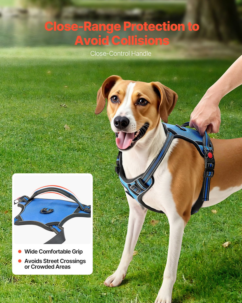 No-Pull Dog Harness with Leash – Adjustable & Secure