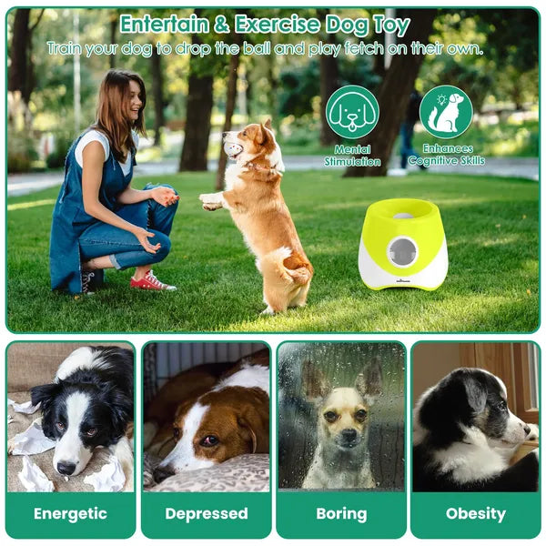 Automatic Dog Ball Launcher Rechargeable With 3 Adjustable Distance Settings (6m/10m/14m) 6Pcs 2.3in Balls